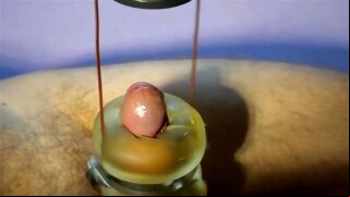 Milking Cum Machine 05